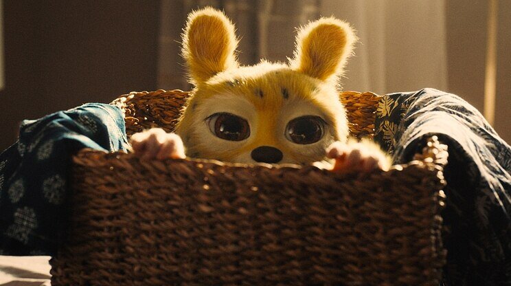 Bláznivý Marsupilami