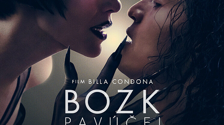 Bozk pavúčej ženy