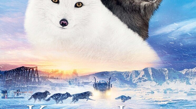 KINA A JUK: Príbeh líštičiek