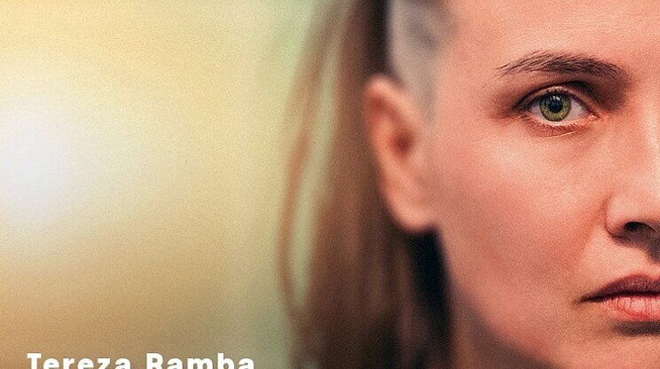 Zápisník alkoholičky