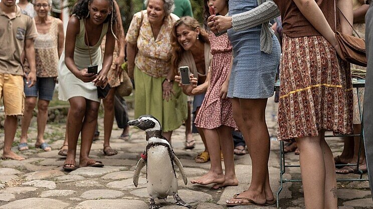 MÔJ KAMARÁT TUČNIAK